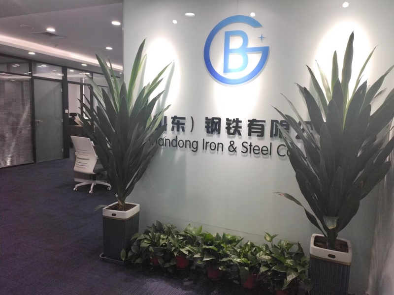 Çin Baogang (Shandong) Steel Co., Ltd şirket Profili